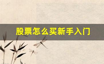 股票怎么买新手入门 湖北(2020股票怎么买)_https://www.jumanxin.com_科创板_第1张